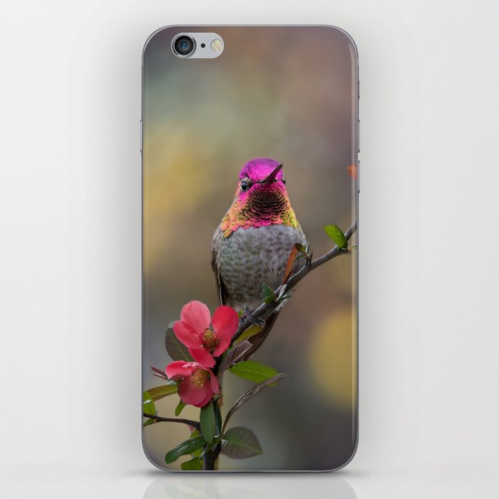 Anna's Hummingbird Springtime blooms iPhone Skin