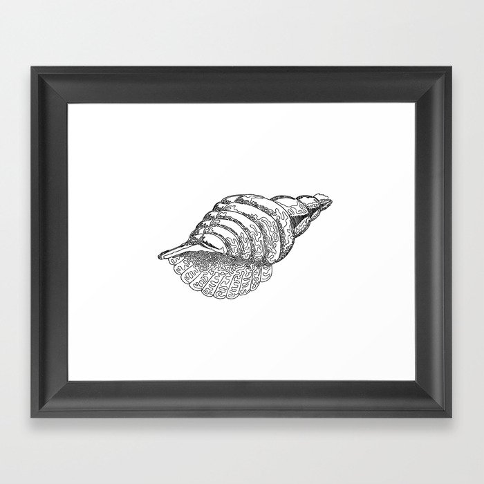 Seashell, One line drawing Framed Art Print