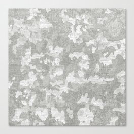 Light Gray Abstract Canvas Print