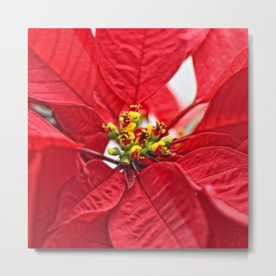 Jolly Red Metal Print