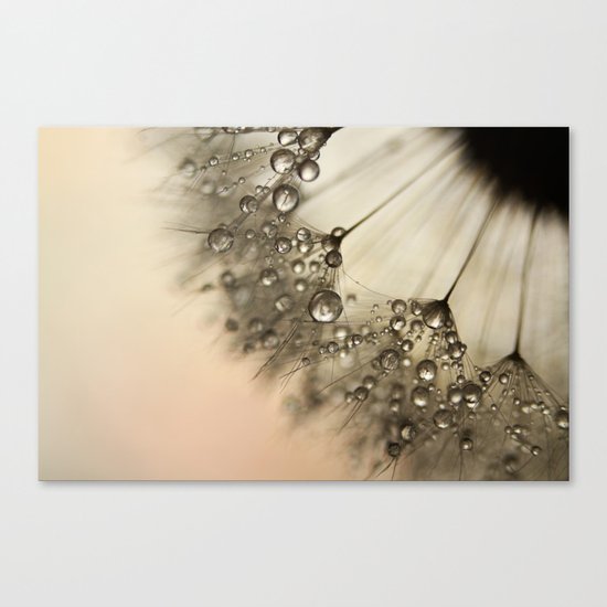 Peach & Dandy Canvas Print