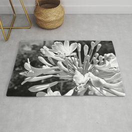Black & White photo of the flowers outfront Rug