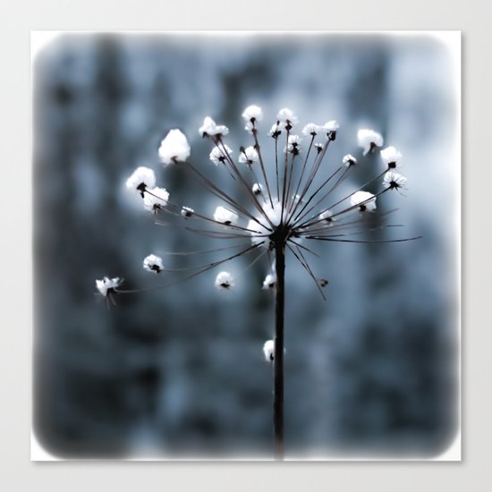 in the snow Canvas Print