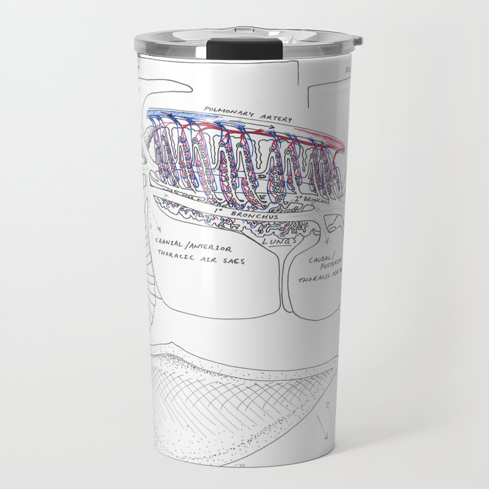Avian Respiratory System, lateral view Travel Mug