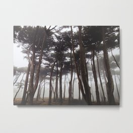 Foggy Presidio Metal Print | Mistytrees, Mist, Naturephotography, Sanfrancisco, Foggytrees, Dark, Foggyforst, Stormy, Minimalphotography, Forest 