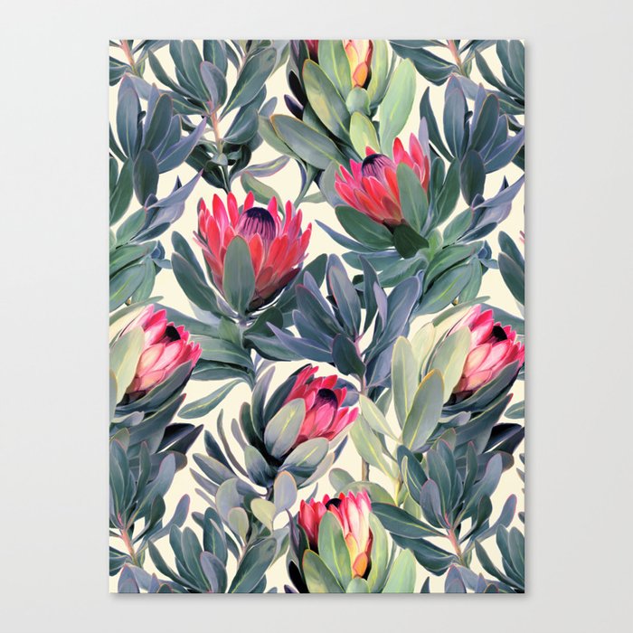 Painted Protea Pattern Canvas Print