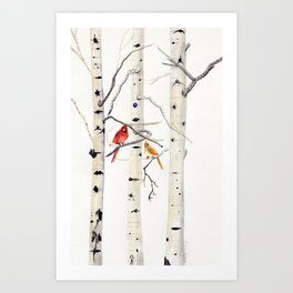 Birch Trees and Cardinal Art Print