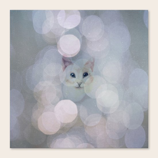 Gali Canvas Print