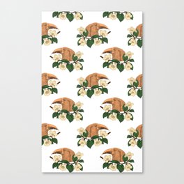 illustration of tropical bird and pomelo flower Canvas Print