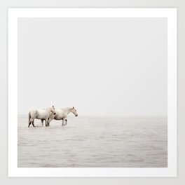 White Camargue Horses - Minimalist Nature Photography Art Print