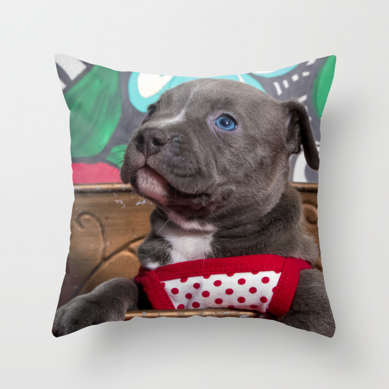 society6