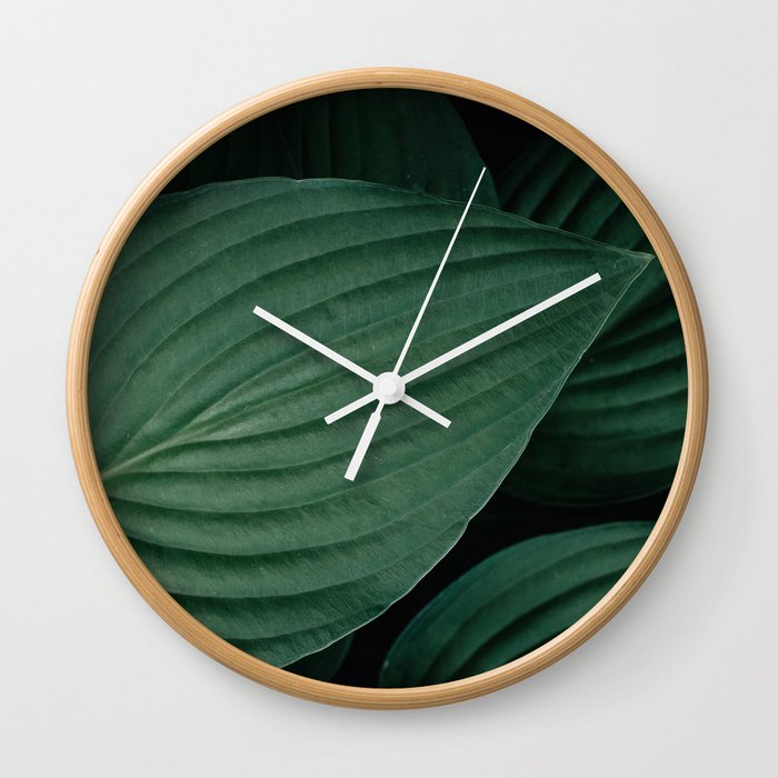 Hosta leaves. Wall Clock