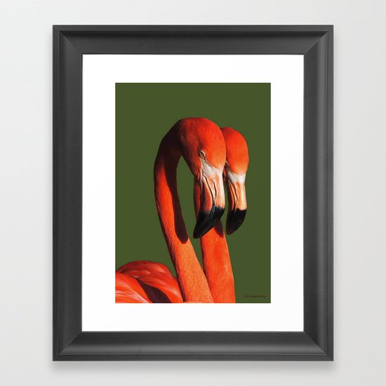 Flamingos Framed Art Print
