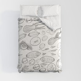 Exploration of the Seed Vault Comforter
