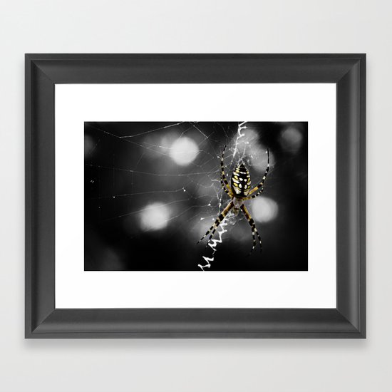 Banana Spider Macro Color Pop Framed Art Print