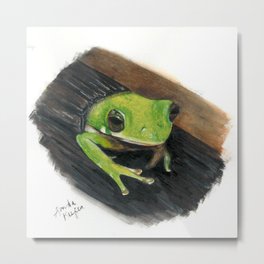Peekaboo Tree Frog Metal Print