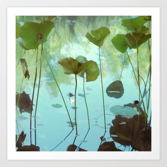 Lotus Art Print