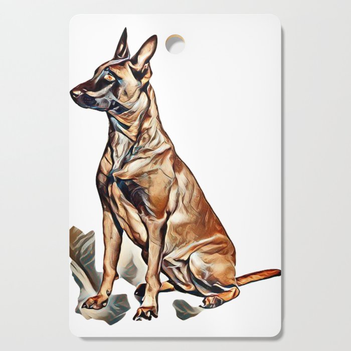 Belgian Malinois Belgian Shepherd Dog Studio Shot Isolated On