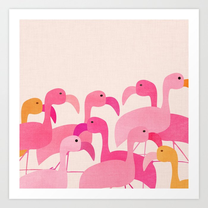 Florida Flamingos