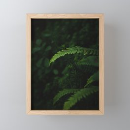 Fern in the Wilds Framed Mini Art Print