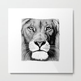 Lion face Metal Print | Nature, Wild, Ink Pen, Drawing, Vintage, Lion, Bigcat, Animal, Illustration, Beautiful 