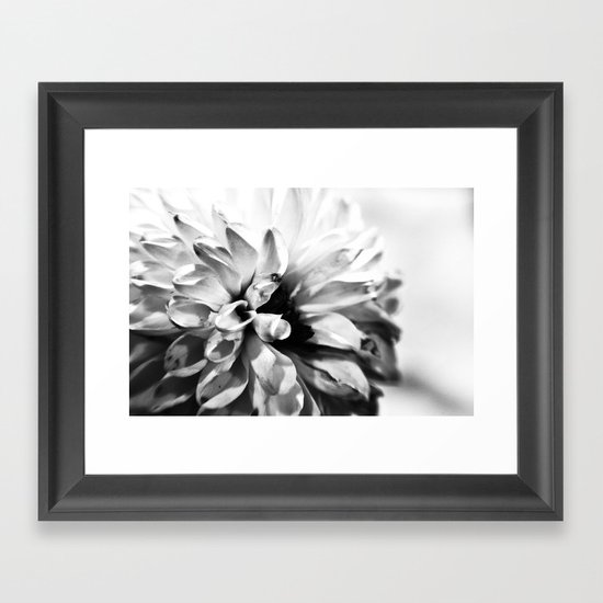 Dahlias 3 Framed Art Print