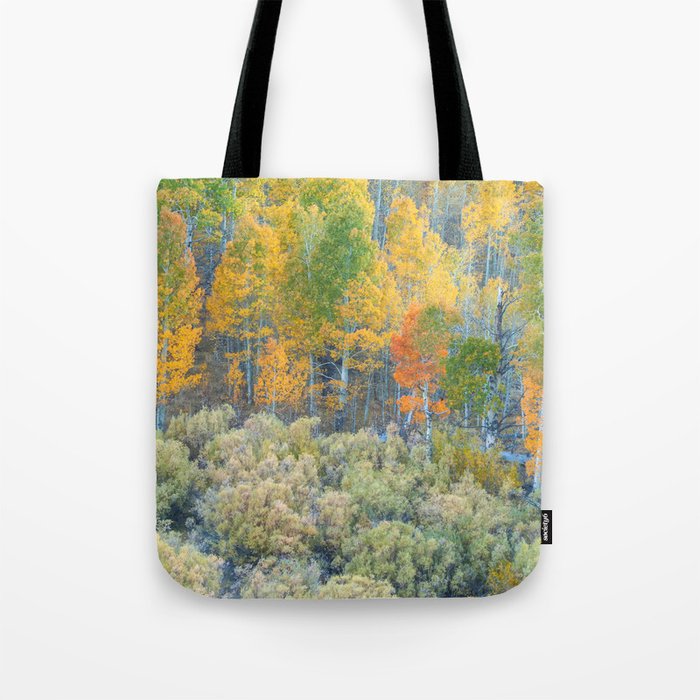 Autumn Colors Tote Bag