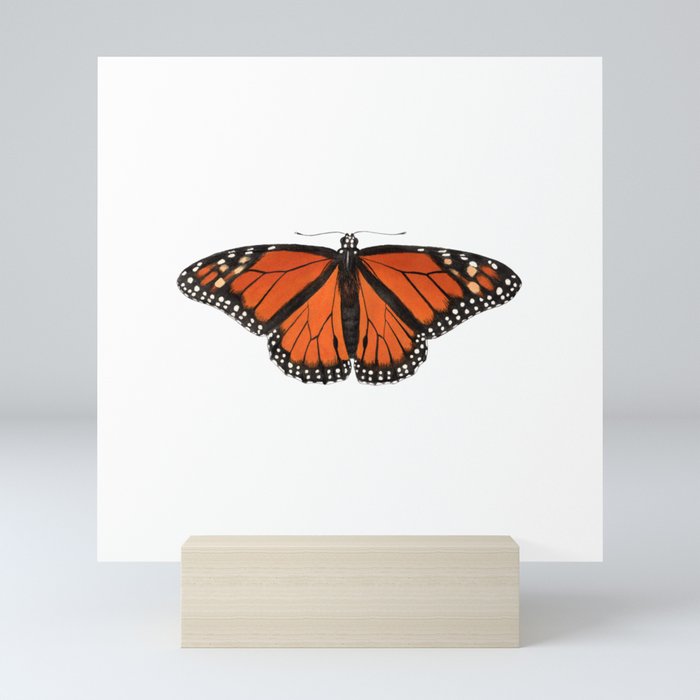 Monarch (Danaus plexippus) Mini Art Print
