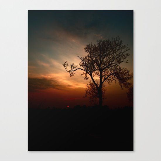 Colourful Moments Canvas Print