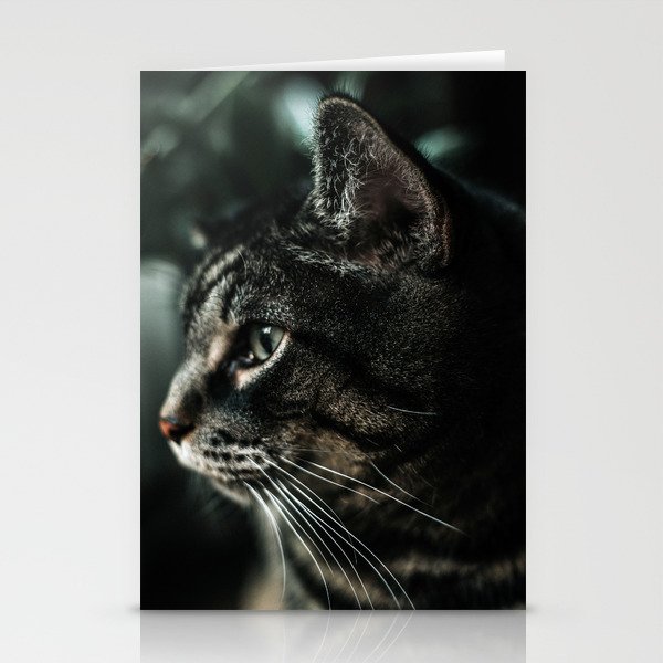 Cat portrait Stationery Cards