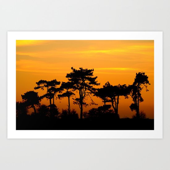 Sunset Trees Art Print