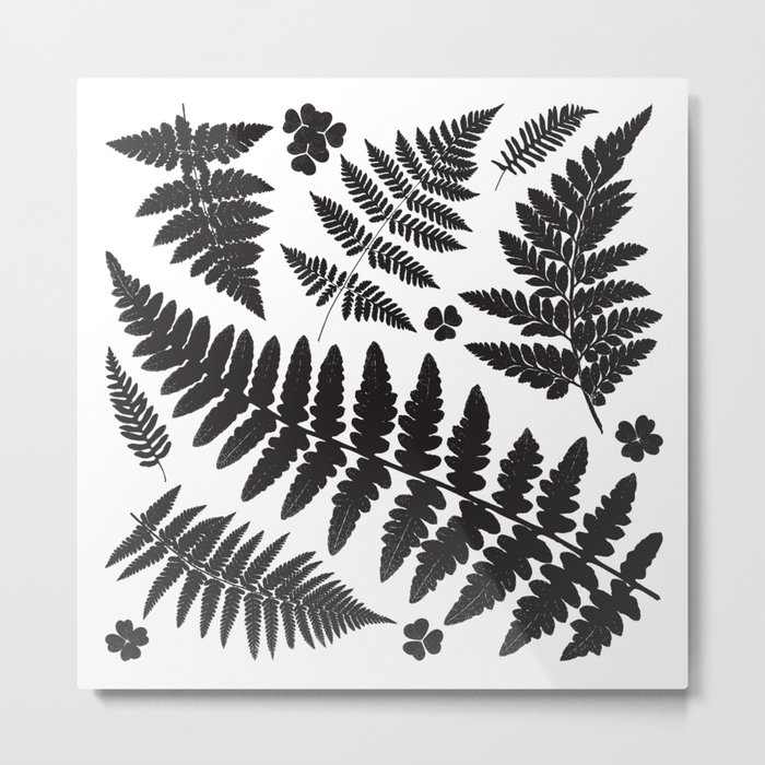 Black and White Ferns Metal Print