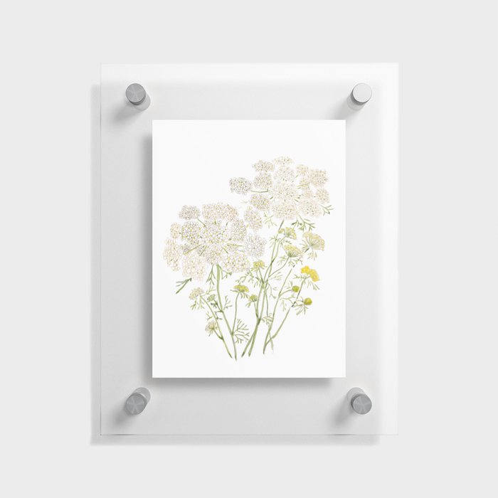 Queen Ann Lace ink and watercolor painting Floating Acrylic Print