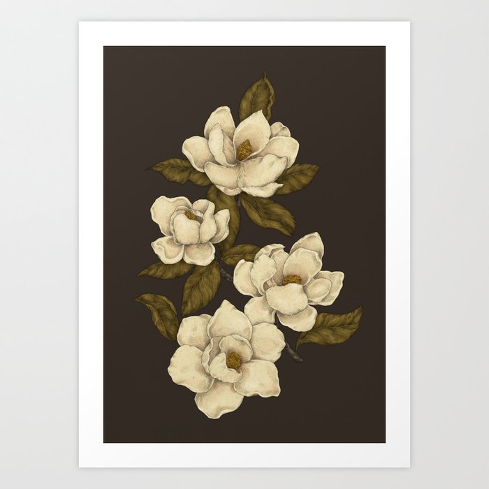 Magnolias Kunstdrucke | Gemälde, Digital, Other, Illustration, Vintage, Natur, Botanisch, Magnolia, Magnolias, Blume