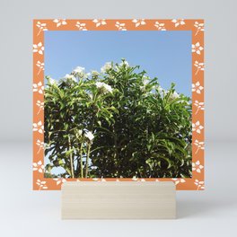 Plumeria Rainfall Postcard - Jamaica Mini Art Print