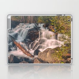 Lee Vining Creek Falls Laptop Skin