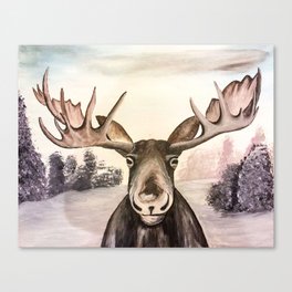 Smirking Moose Canvas Print