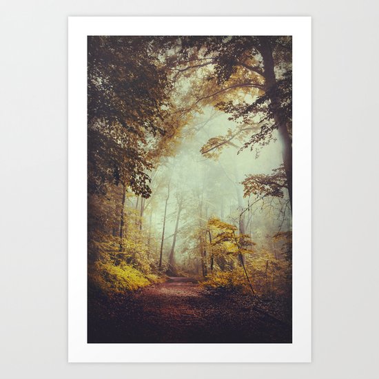 Silent Forest Art Print