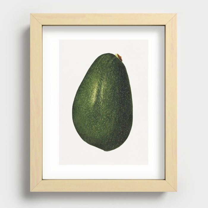 Vintage avocado illustration.6 Recessed Framed Print