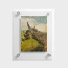 Vintage  cute brown donkey colt on the field Floating Acrylic Print