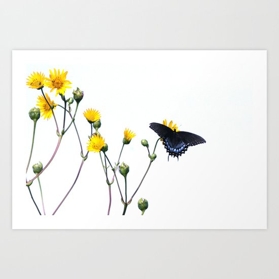 Butterfly Prairie Art Print