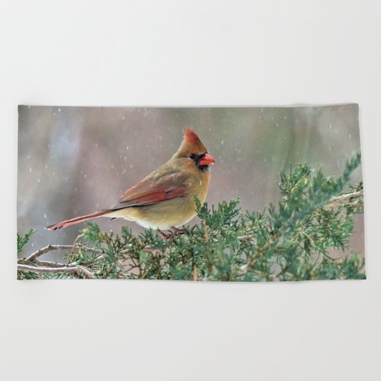 Waiting for Christmas Cardinal Beach Towel