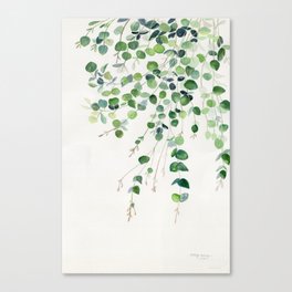 Eucalyptus Watercolor Canvas Print