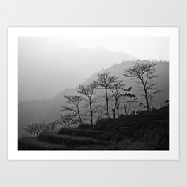 Misty mountain landscape in Vietnam | Trees in black white | Nature travel photography Art Print
