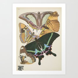 Moth Print by E.A. Seguy, 1920s #17 Art Print
