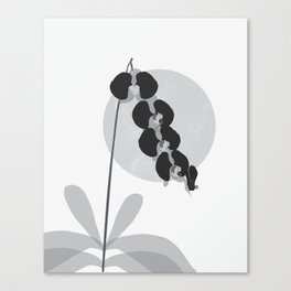 Noir Orchid Dreams Canvas Print