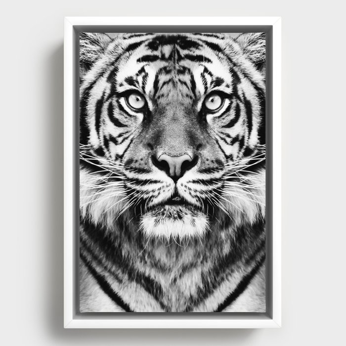Framed Canvas