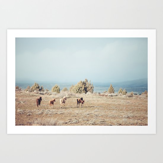 Oregon Wilderness Horses Art Print