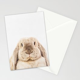 Bunny Rabbit Stationery Cards