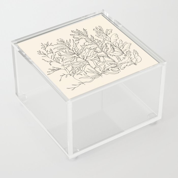 Herbal Harmony Acrylic Box